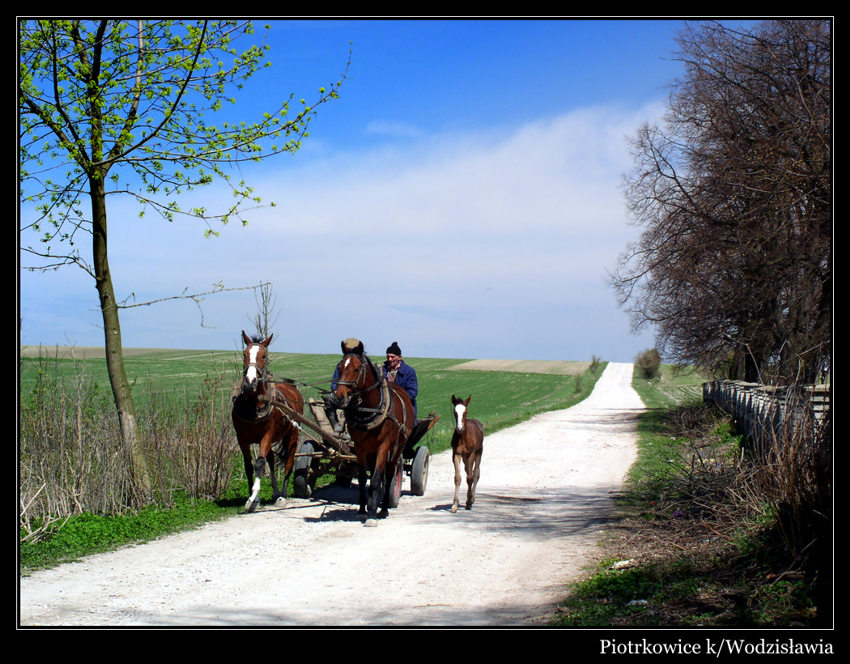 Piotrkowice k/Wodzisławia