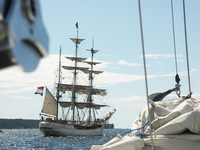 tall ships\\\\\\\\\\\\\\\' races 2007