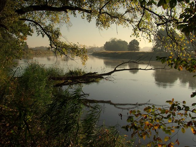 Biały Gościcniec