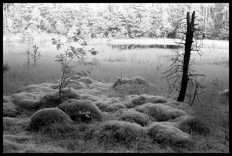 Bagno Przecławskie