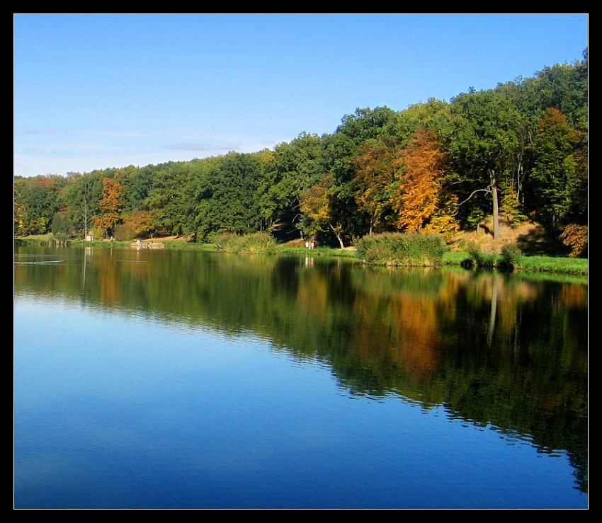 Jezioro Gołuchowskie