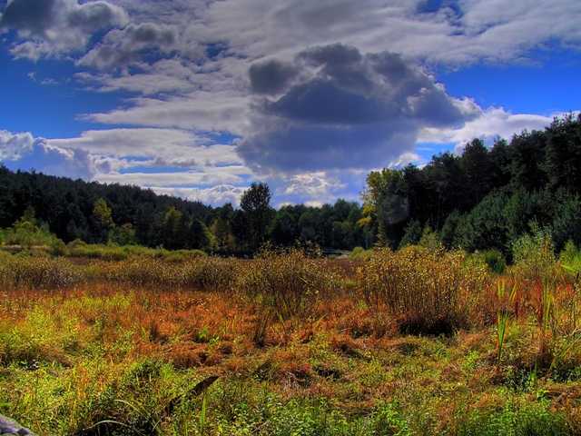 skoro jesień