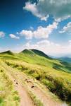 Bieszczady