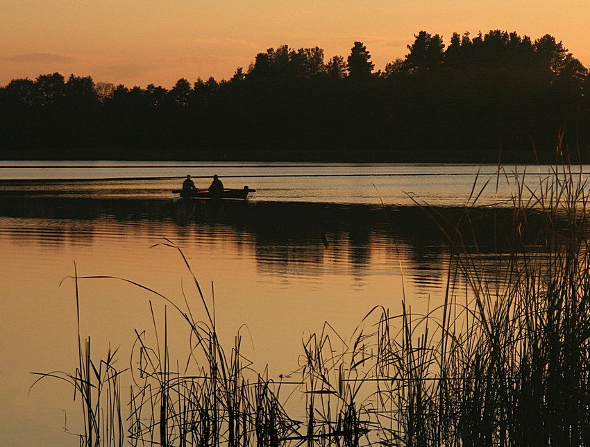 Wieczorne połowy