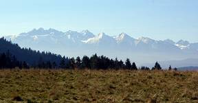 Tatry z wąwozu Homole