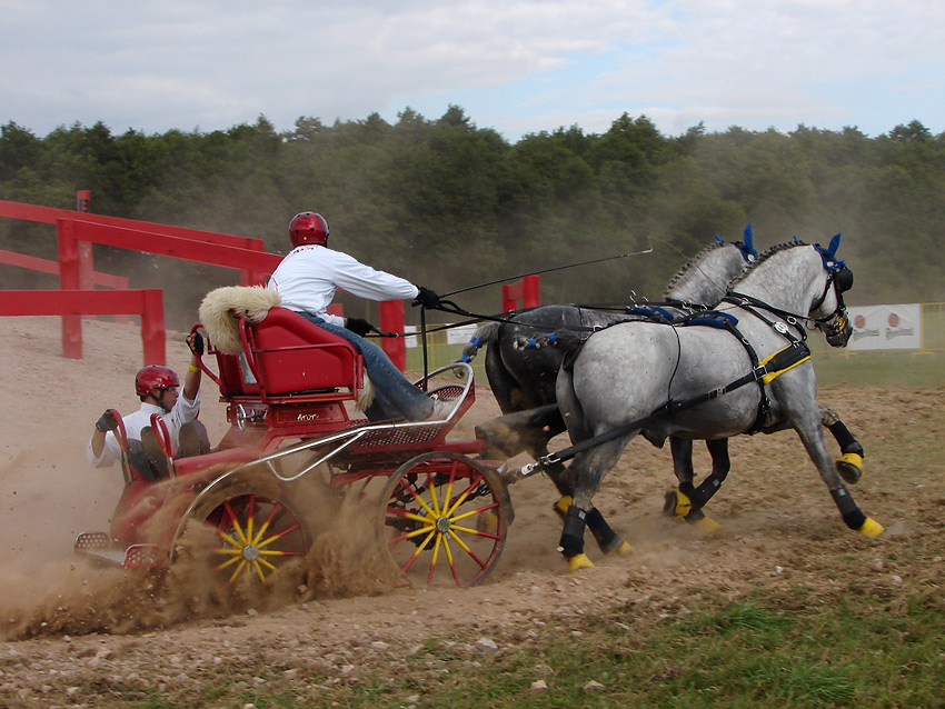 Warka 2007