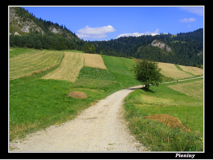 Pieniny