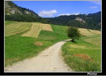 Pieniny