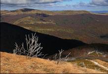 Bieszczady