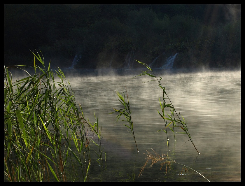 Poranek nad jeziorem [3]