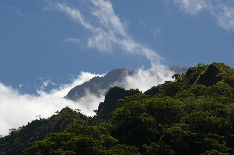 Gory na Tahiti