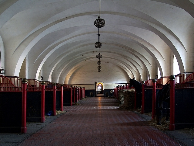 Stadnina Książ #3