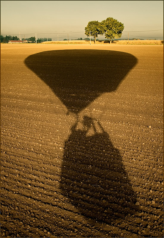 Fly over the field