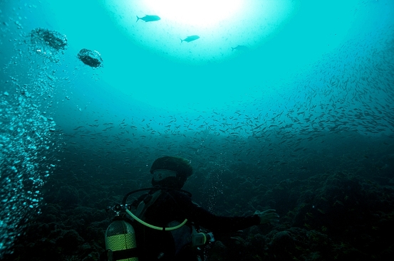 Kurumba House Reef