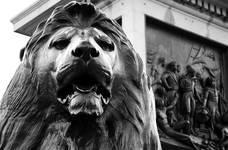 London Lion