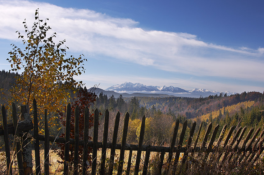 Tatry zza płota