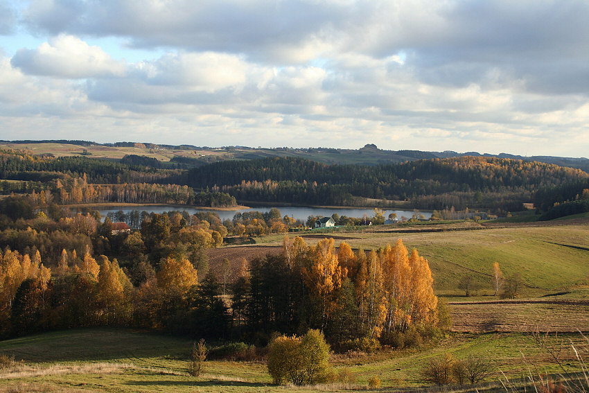 Widok na górę cisową