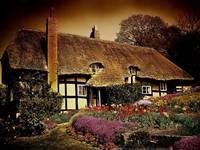 Irish Cottage