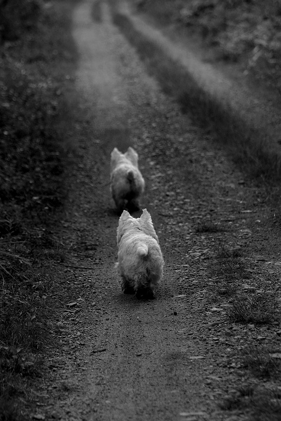 Zoe and Fergus