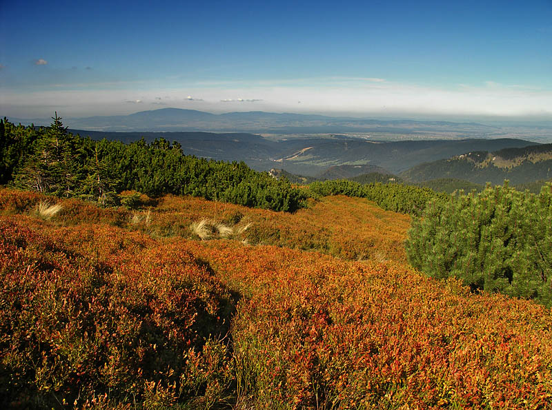 Widok na Babią