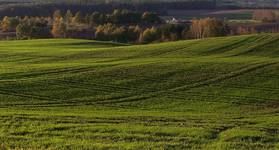 domek na Kaszubach(październik)