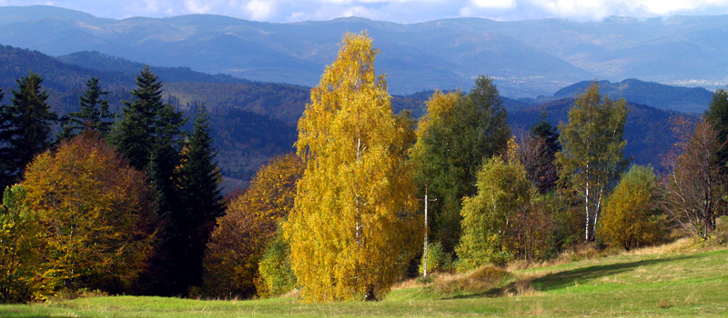 united colours of autumn