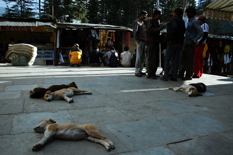 manali