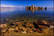 Mono Lake V