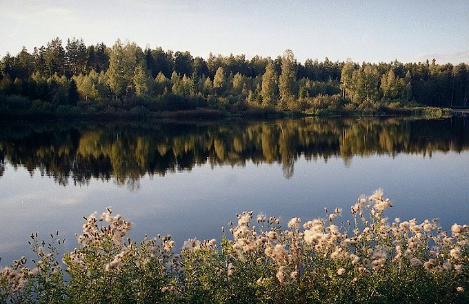 Letnie popołudnie