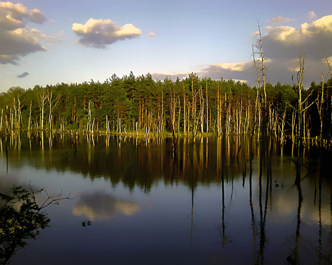 Śląskie klimaty ;-)