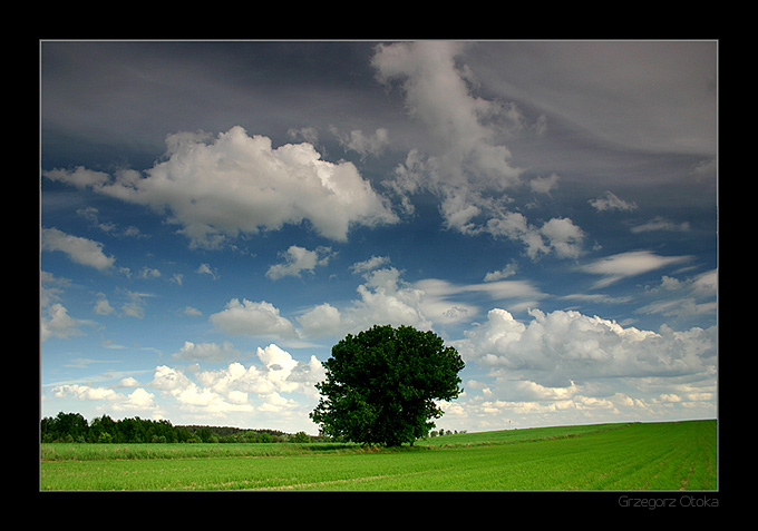 Podlasie