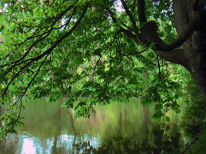 Tam, gdzie powstają wiersze - cz.I