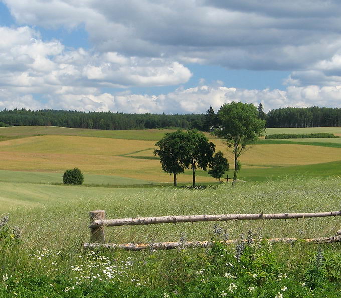 w drodze do Kościerzyny