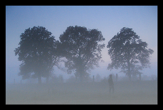 Man in the Fog