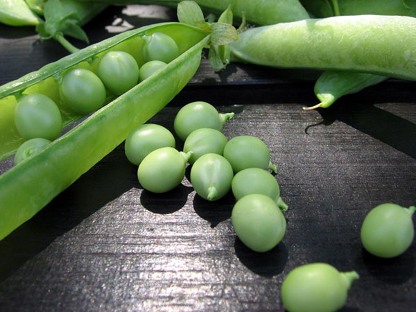 green pea