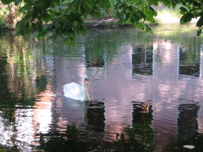 ..okiennice z widokiem na nature..