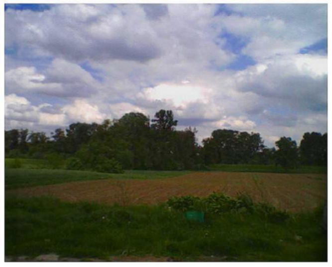CHMURNY DZIEŃ