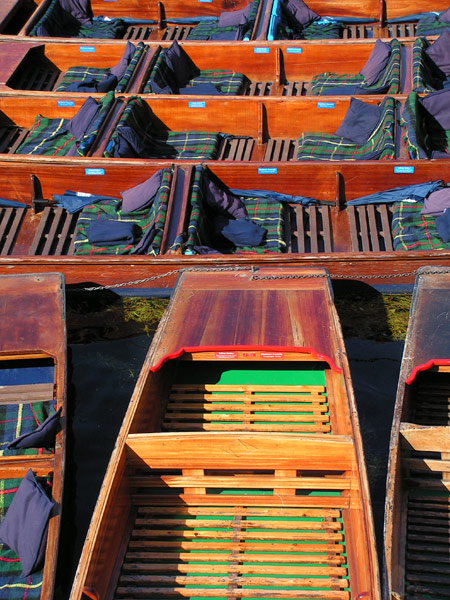 Punting on River Cam