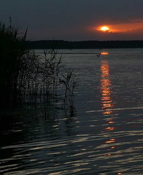 Kończy się dzień III