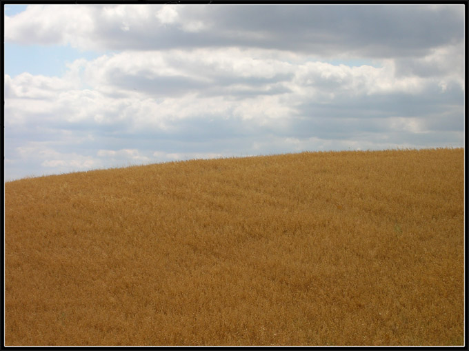 Polska idylla