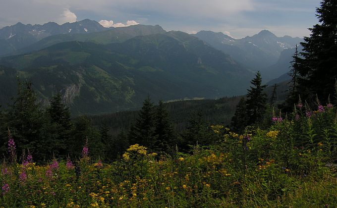 tatry