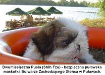 Bezpieczna Pusia na Bulwarze w Puławach