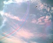 red arrows
