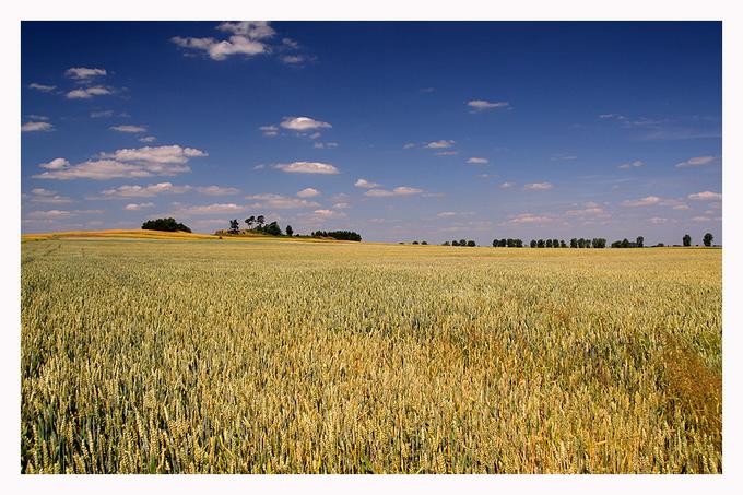 Teraz Polska