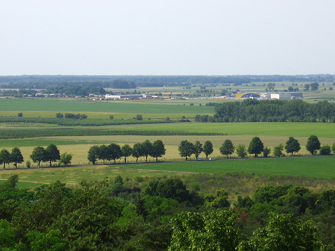 Wielkopolski pejzaż