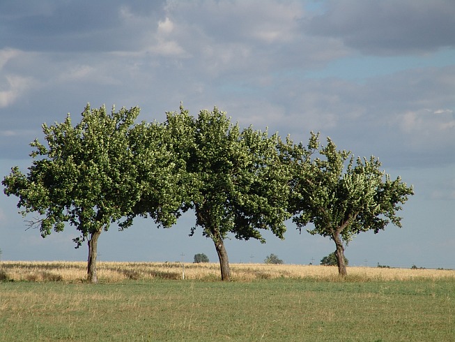 przed burzą