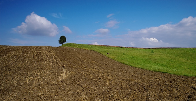 Pejzaż minimalny...