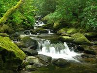 Ireland,  Killarney National Park