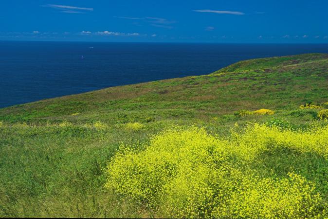 Pointe du Raz