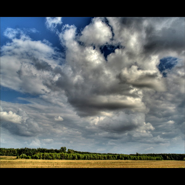 patrzą na nas